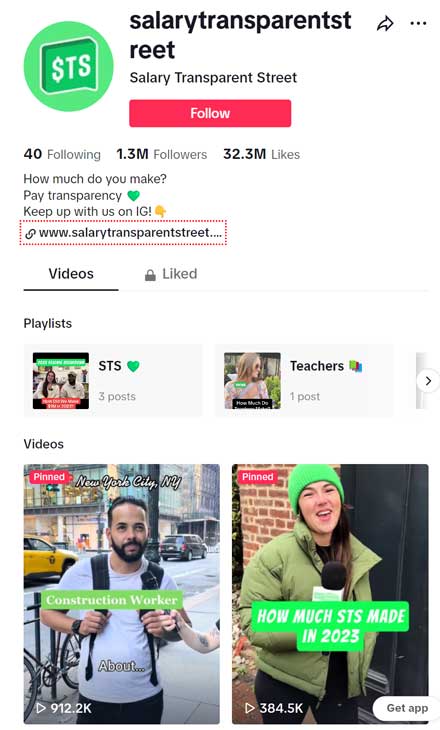 The Salary Transparent Street TikTok account with over 1.3 million followers at the start of 2024.